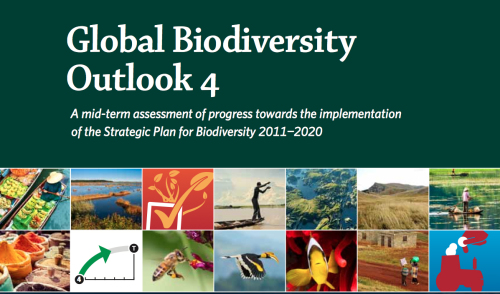 Global Biodiversity Outlook 4 – Linking Tourism & Conservation