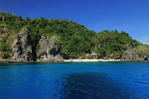 Apo Island Marine Reserve: Successful community-based tourism ...