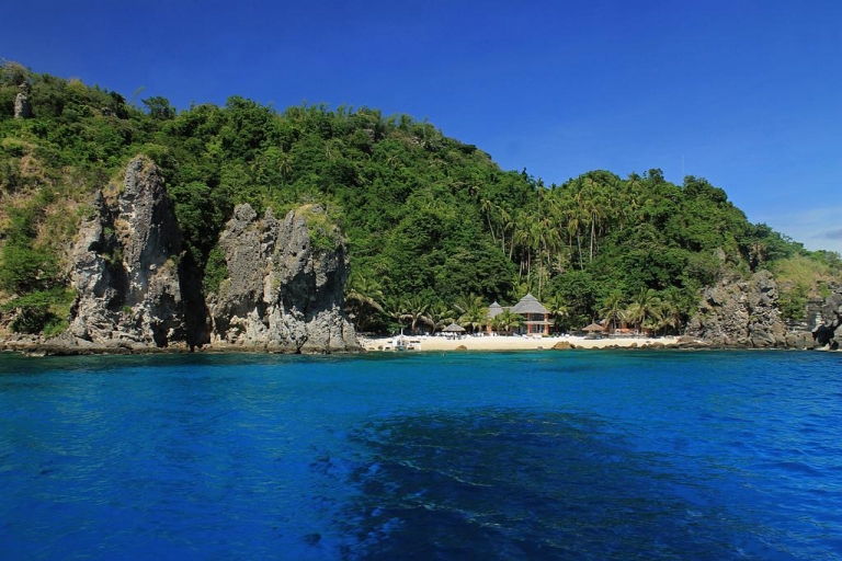 apo-island-marine-reserve-successful-community-based-tourism