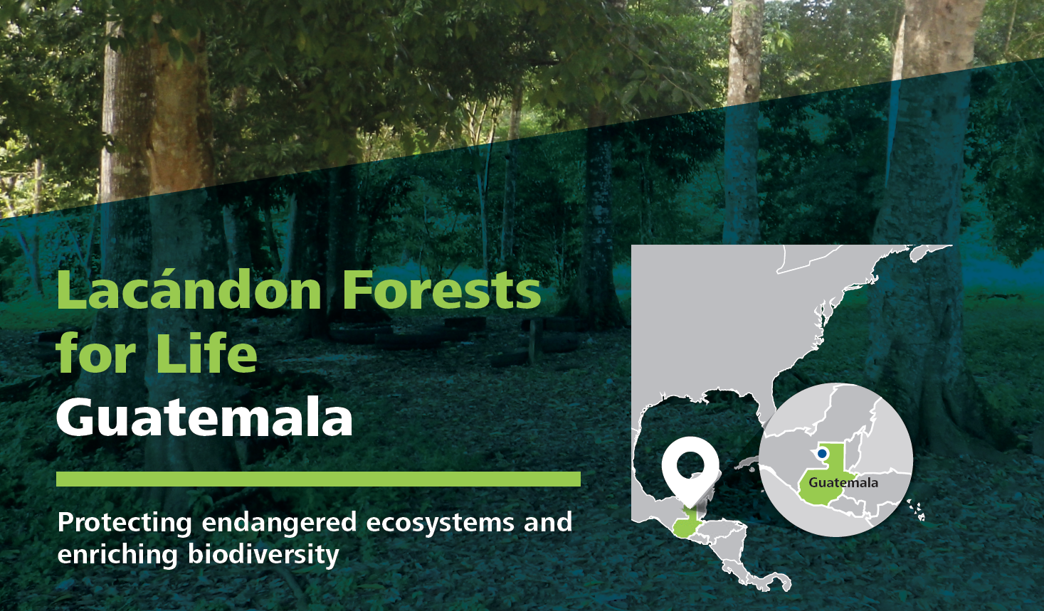 Lacandon Forests For Life Guatemala Linking Tourism Conservation