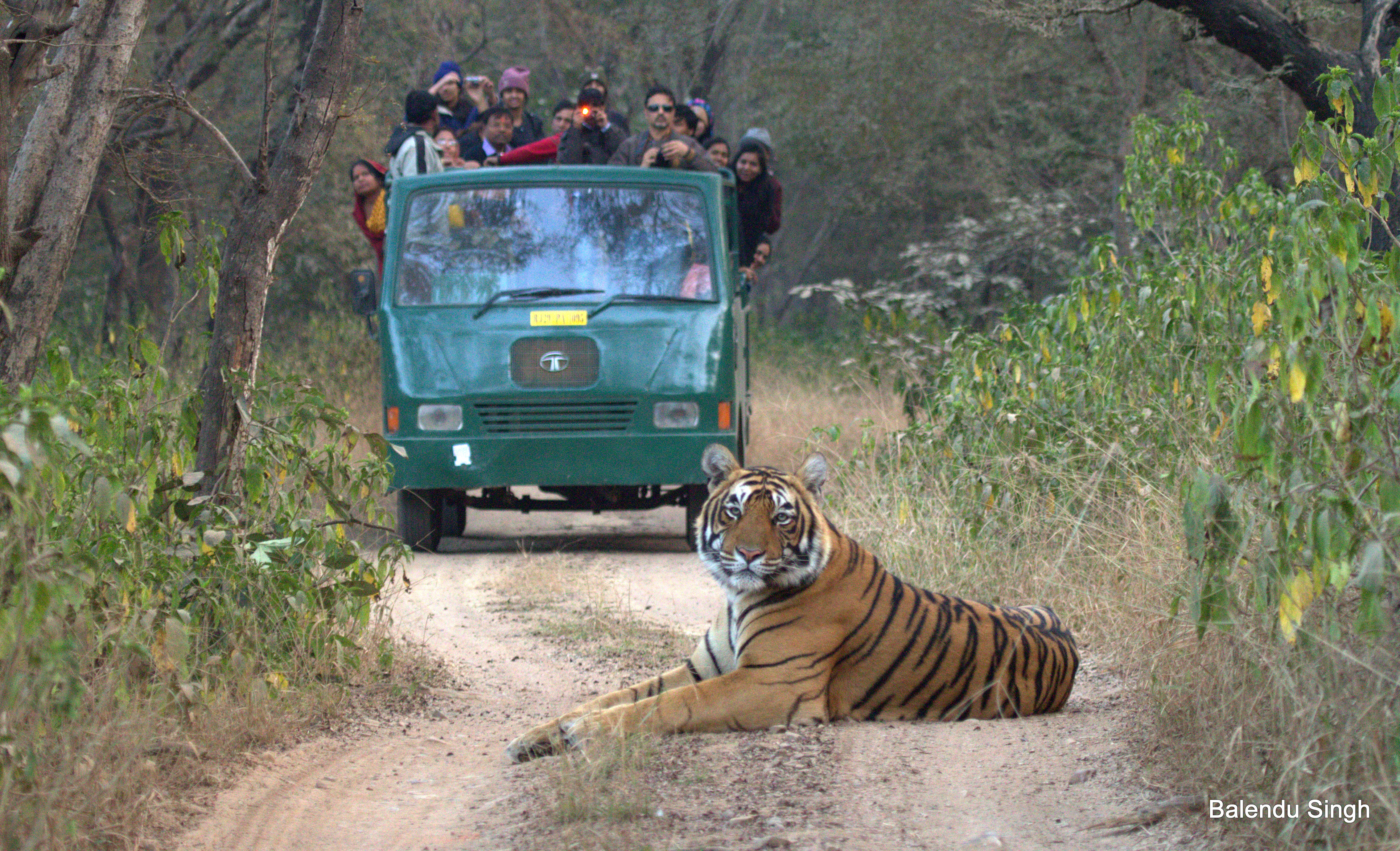 Ranthambhore National Park: Game Reserve Turned Into Wildlife Sanctuary ...