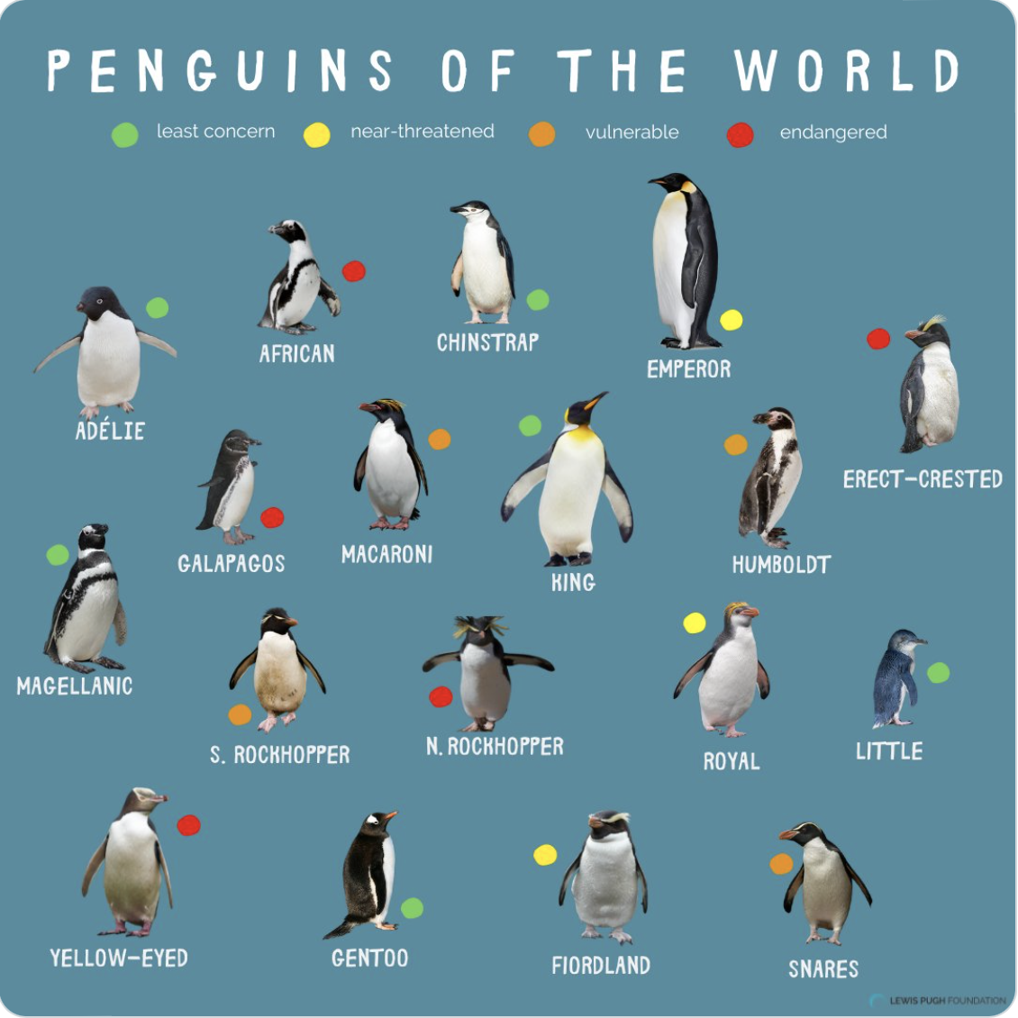 20. Januar: Penguin Awareness Day – eine gute Gelegenheit, ein Pinguin im  globalen LT&C-Netzwerk zu werden – Linking Tourism & Conservation